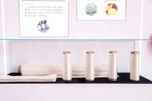 一期年产量700吨 国内首家氧化铝耐高温新材料工厂在沪投产